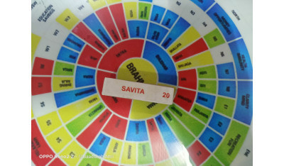 Savita Divs
